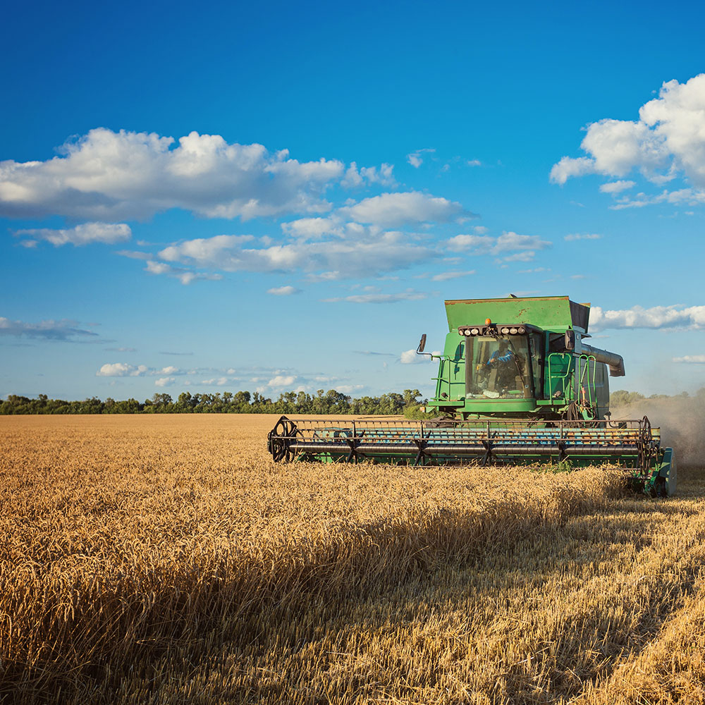 banner-agricultura22